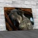 A Sleeping Koala Canvas Print Large Picture Wall Art