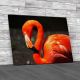 American Flamingo Canvas Print Large Picture Wall Art