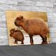 Capybara With Her Babies Canvas Print Large Picture Wall Art