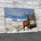 Scottish Red Deer Stag Canvas Print Large Picture Wall Art