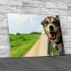 Road Tripping German Shepherd Canvas Print Large Picture Wall Art