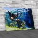 Californian Sea Lions Canvas Print Large Picture Wall Art