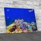 Corals And Fishes 4 Canvas Print Large Picture Wall Art