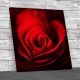 Rose Petals Floral Close Square Canvas Print Large Picture Wall Art