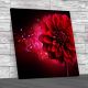 Floral Dahlia Flower 2 Square Canvas Print Large Picture Wall Art