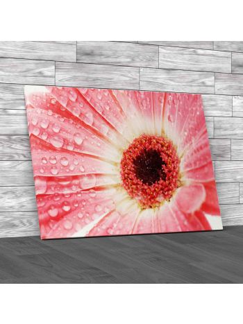 Floral Flower Gerbera Canvas Print Large Picture Wall Art