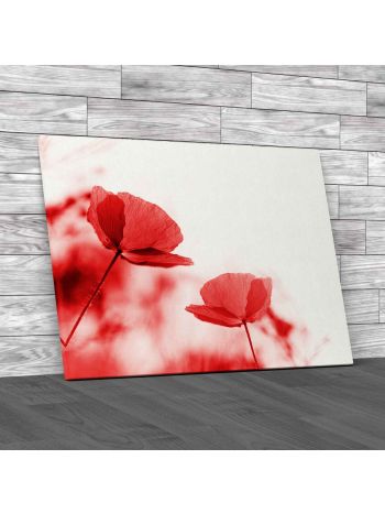 Floral Flower Poppies Canvas Print Large Picture Wall Art