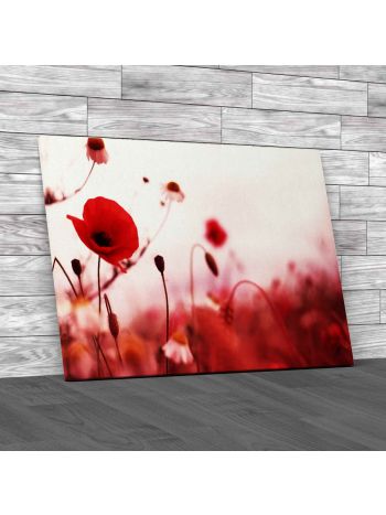 Floral Flowers Poppies Canvas Print Large Picture Wall Art