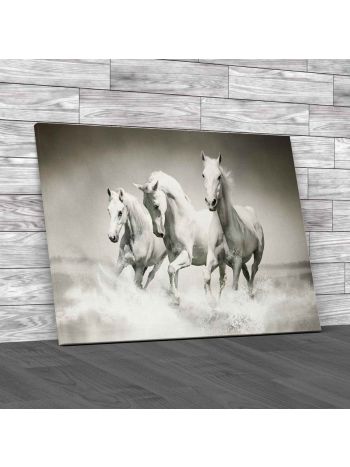 Running Horses In Water Canvas Print Large Picture Wall Art