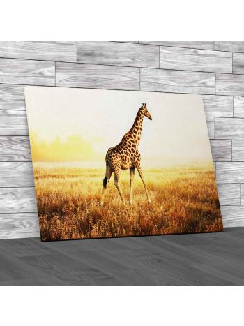 West African Giraffe Canvas Print Large Picture Wall Art