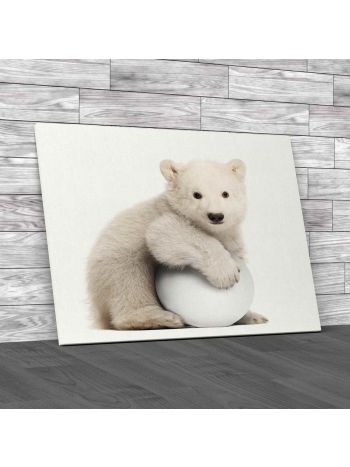 Polar Bear Cub Canvas Print Large Picture Wall Art