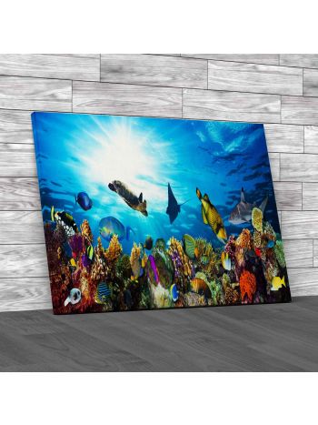 Coral Reef With Fishes Canvas Print Large Picture Wall Art