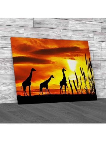 Giraffe On The Savannah Canvas Print Large Picture Wall Art