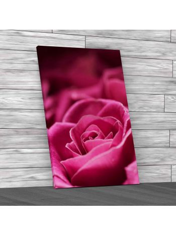 Floral Rose Petal Flower Canvas Print Large Picture Wall Art