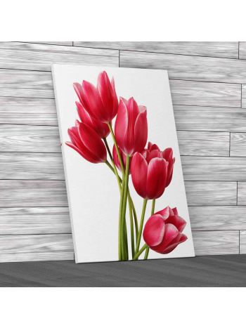 Floral Flowers Tulips Canvas Print Large Picture Wall Art