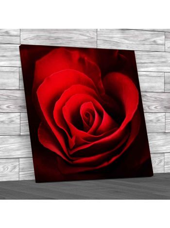 Rose Petals Floral Close Square Canvas Print Large Picture Wall Art