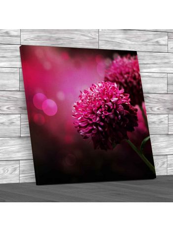 Floral Dahlia Flower Square Canvas Print Large Picture Wall Art