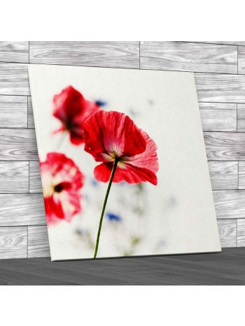 Floral Flowers Poppies 2 Square Canvas Print Large Picture Wall Art